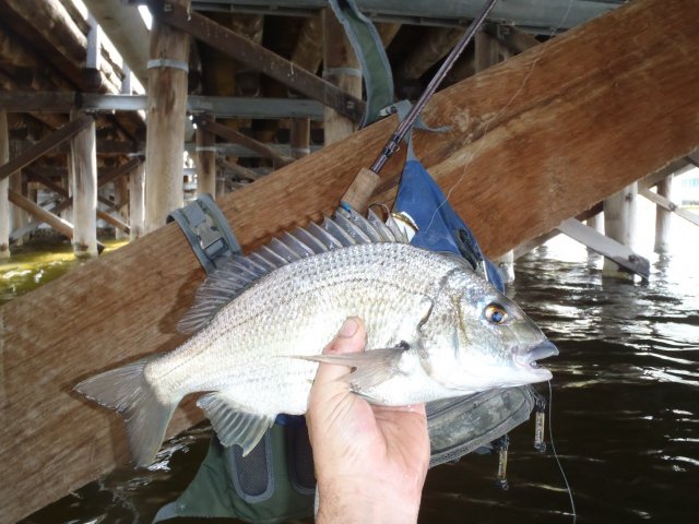 long time between 40's long time between 40's